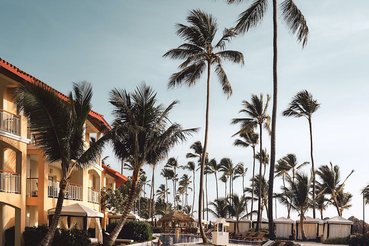 The image shows a luxurious poolside scene with tall palm trees, lounge chairs, and a building in the background under a clear sky.